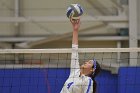 Wheaton Women's Volleyball  Wheaton Women's Volleyball vs Bridgewater State University. : Wheaton, Volleyball, BSU, Bridgewater State College